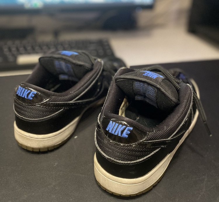 Nike Sb Dunk Low Pro Space Jam