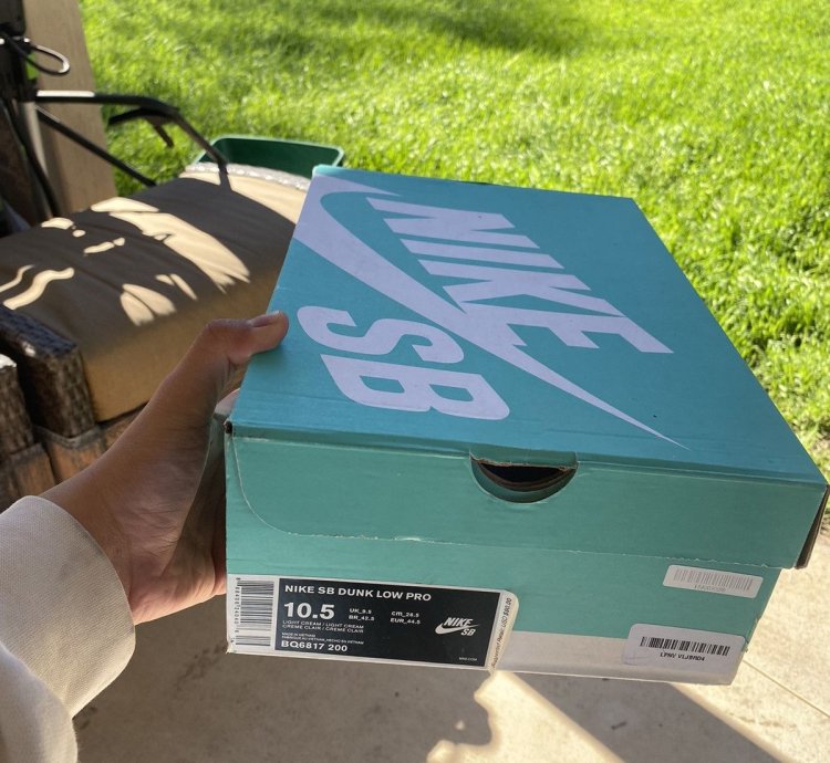 Nike Sb Dunk Low Pro Thunderstorm