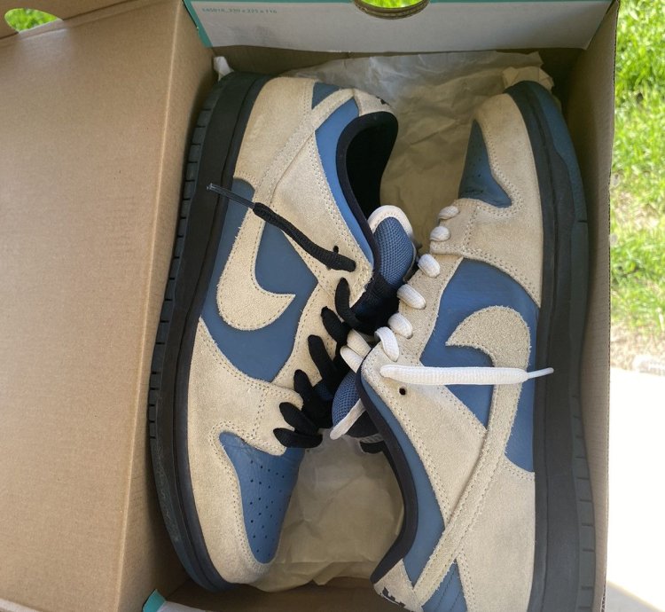 Nike Sb Dunk Low Pro Thunderstorm