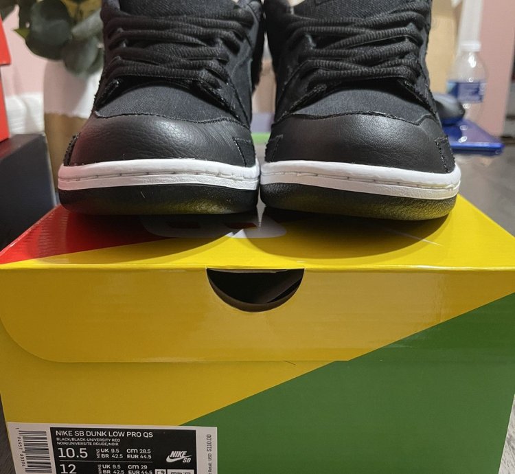 Nike Sb Dunk Low Pro Wasted Youth