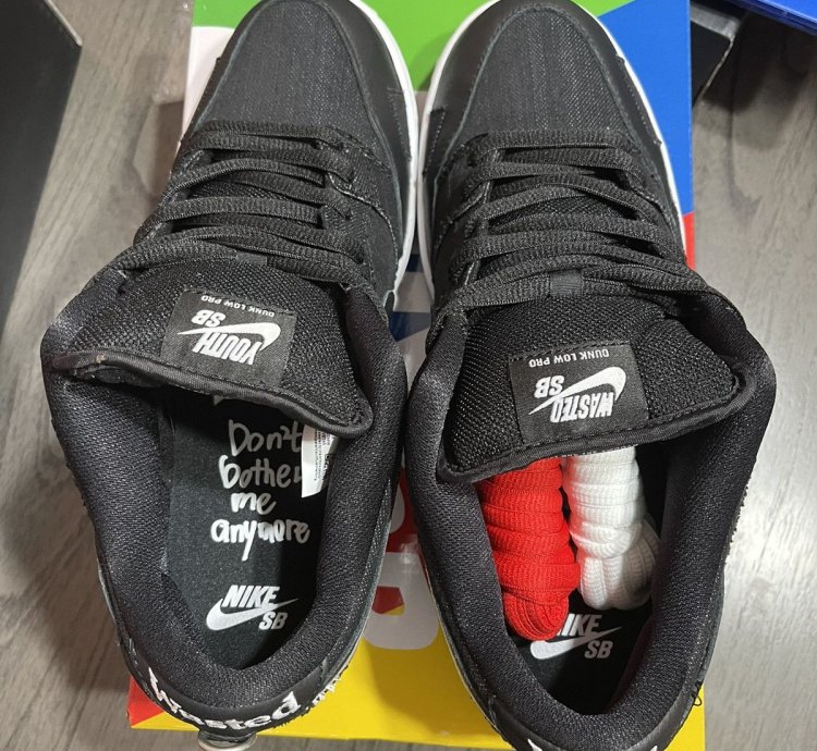 Nike Sb Dunk Low Pro Wasted Youth