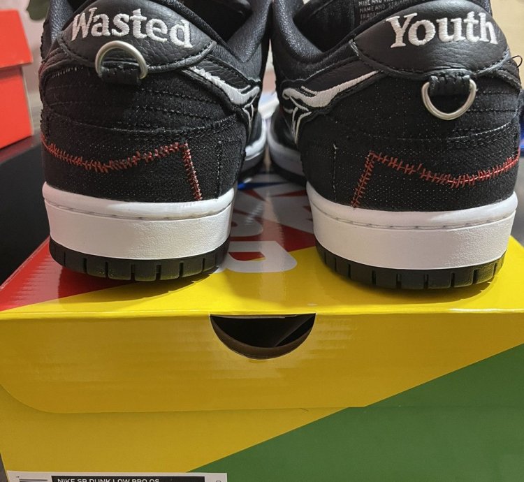 Nike Sb Dunk Low Pro Wasted Youth