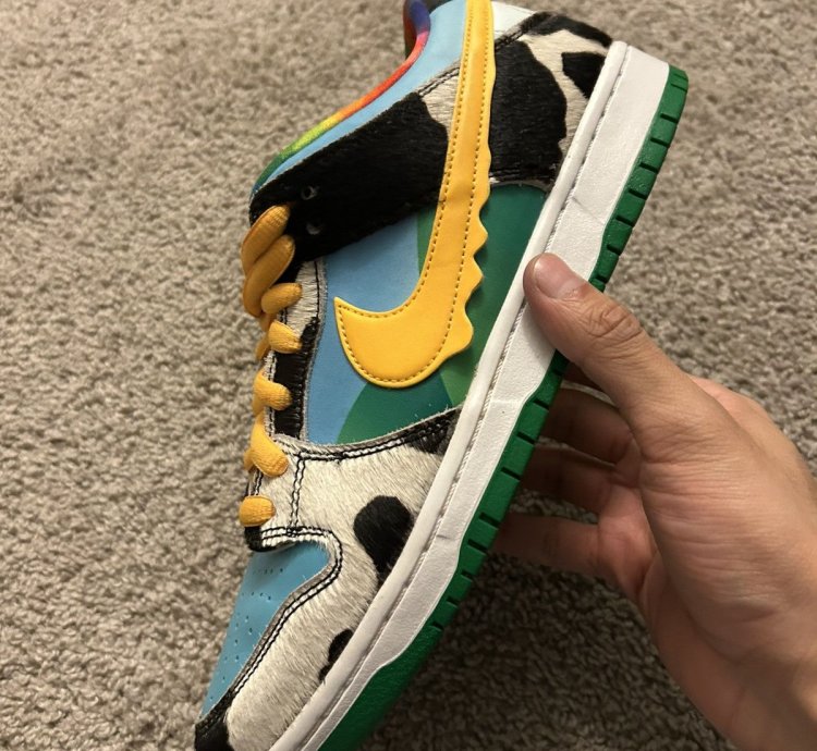 Ben Jerry Nike Dunk Low Chunky Dunky Size 8 5