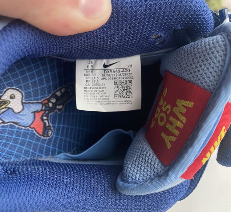 Nike Sb Dunk Low Pro Why So Sad