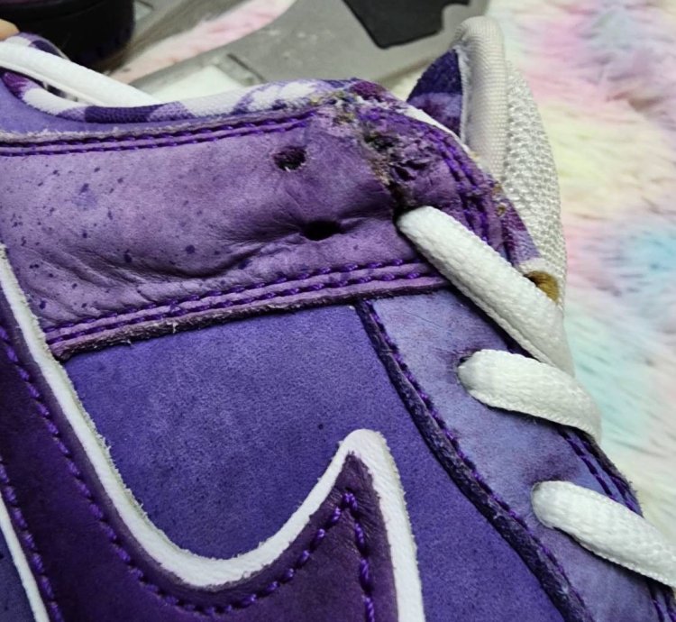 Nike Sb Dunk Low Purple Lobster