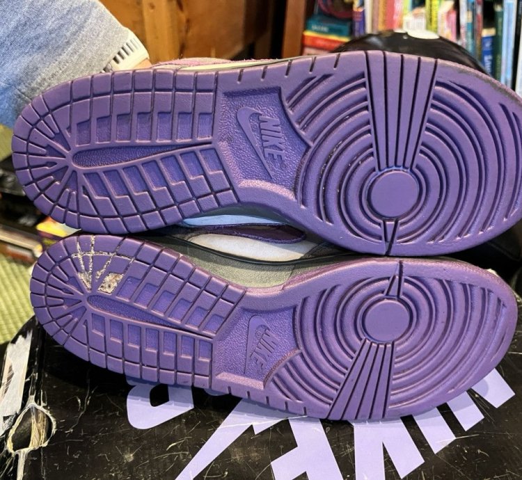 Nike Sb Dunk Low Purple Pigeon 2006