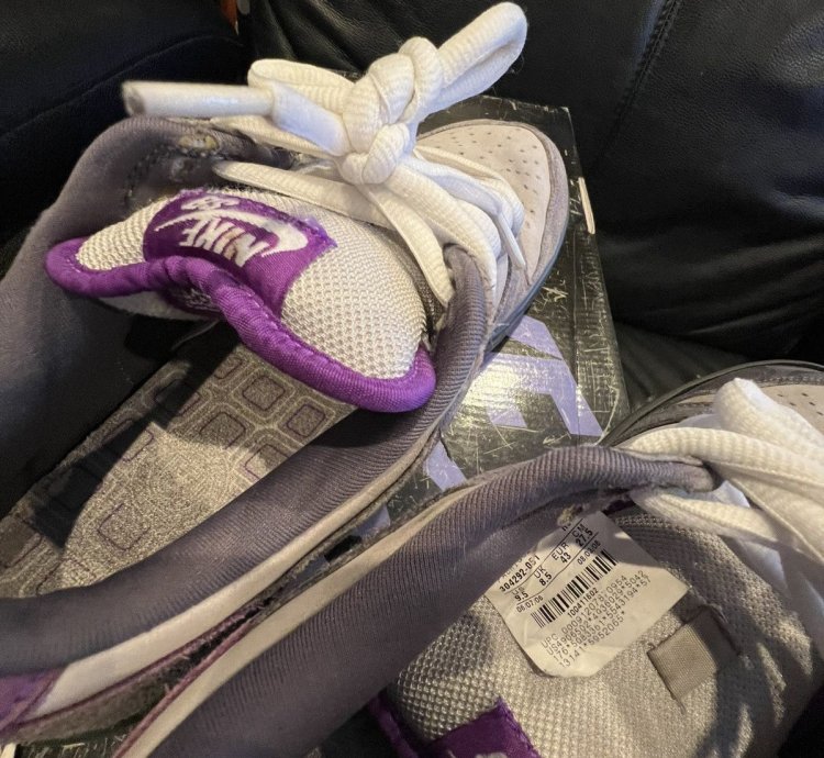 Nike Sb Dunk Low Purple Pigeon 2006
