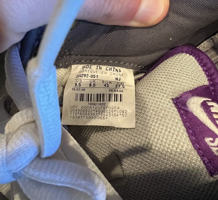 Nike Sb Dunk Low Purple Pigeon 2006