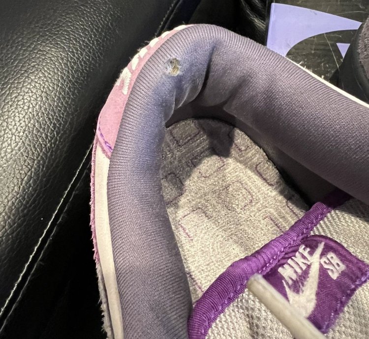 Nike Sb Dunk Low Purple Pigeon 2006