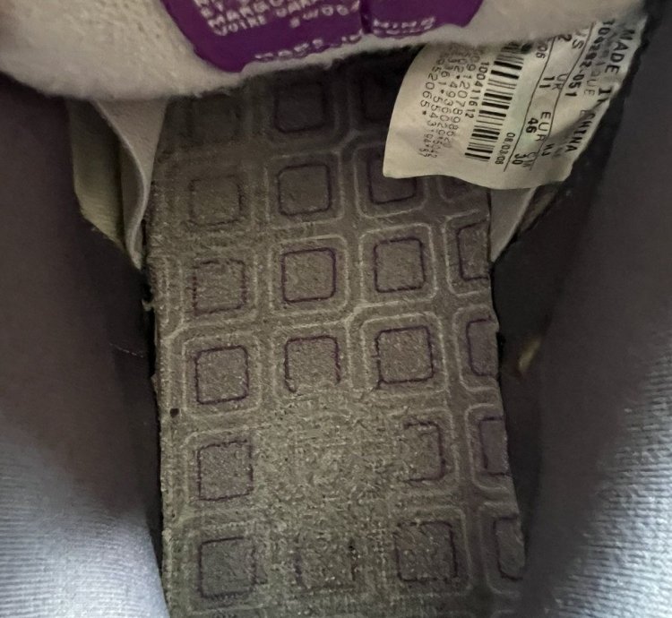 Nike Sb Dunk Low Purple Pigeon Og Box