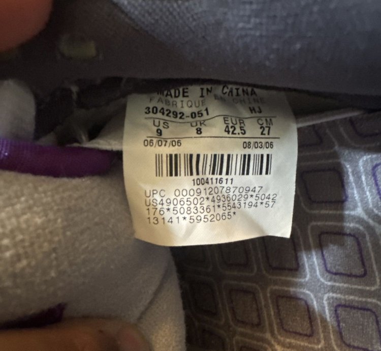 Nike Sb Dunk Low Purple Pigeons Size 9