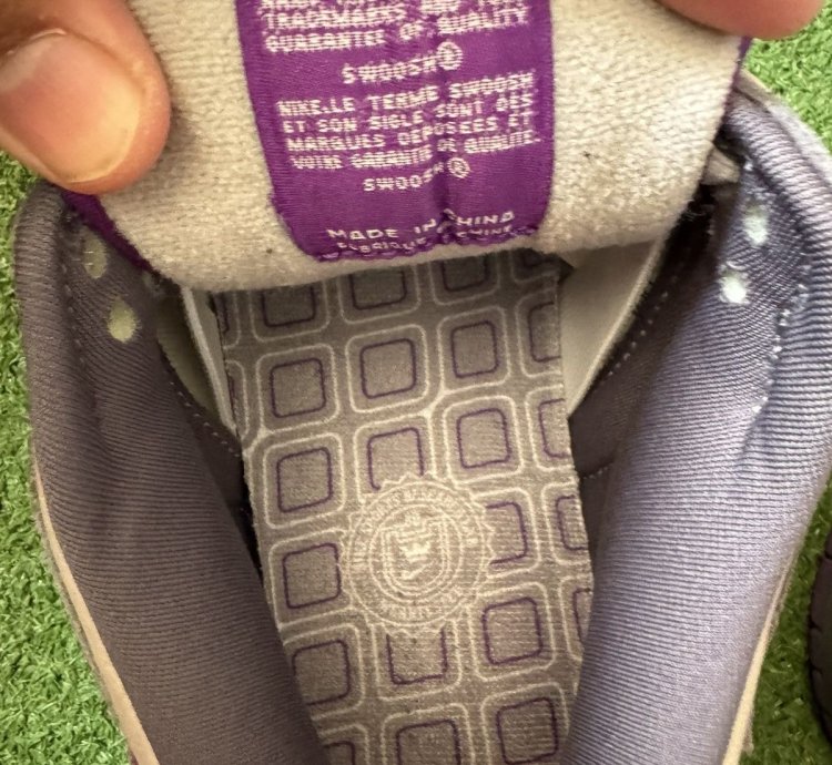 Nike Sb Dunk Low Purple Pigeons Size 9