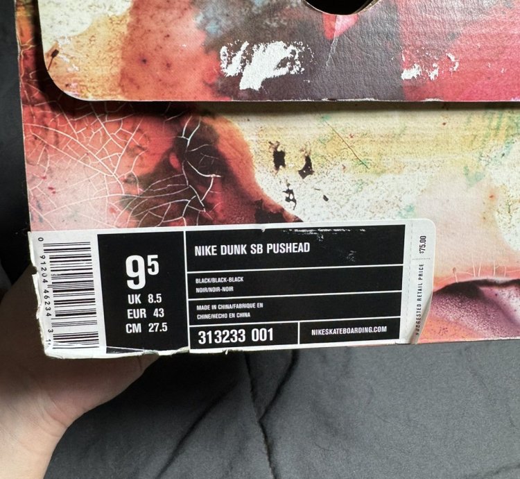 Nike Sb Dunk Low Pushead - Size 9 5