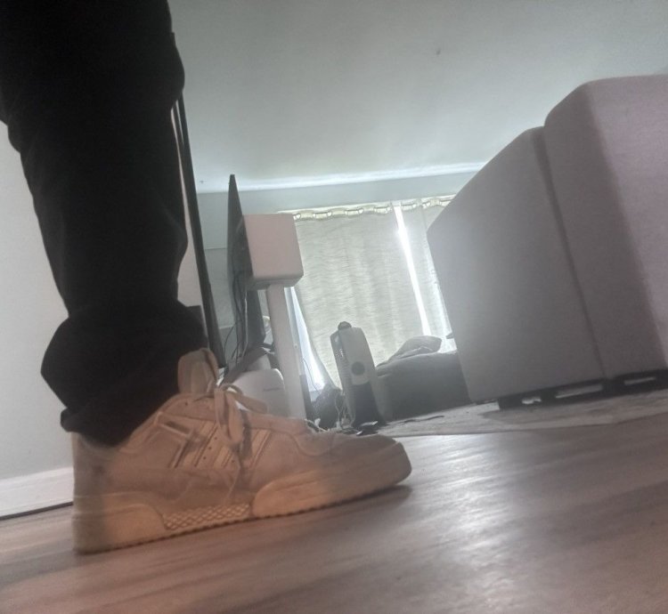Adidas Forum 84 Low Off White