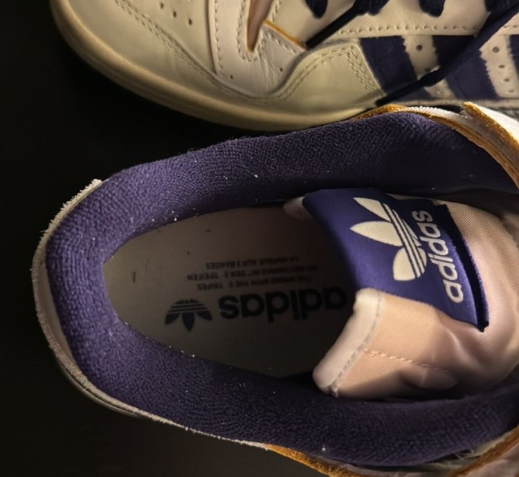 Adidas Forum 84 Low Off White Collegiate Purple Gw2009