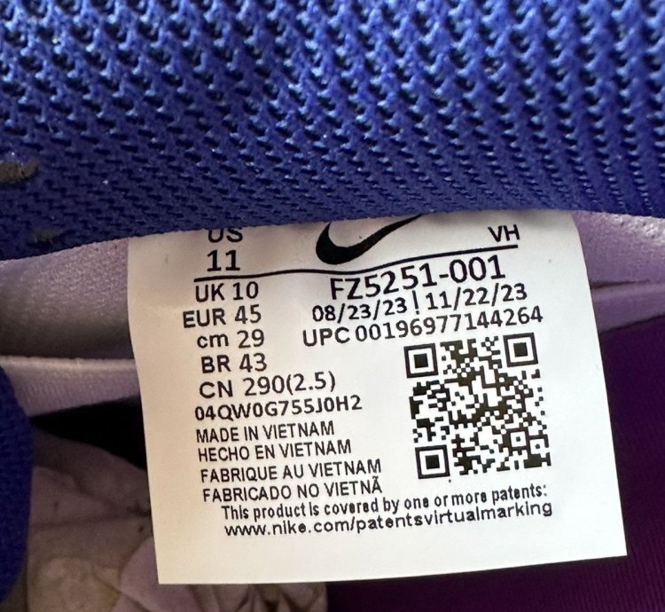 Nike Sb Dunk Low Rayssa Leal Size 11m Fz5251-001