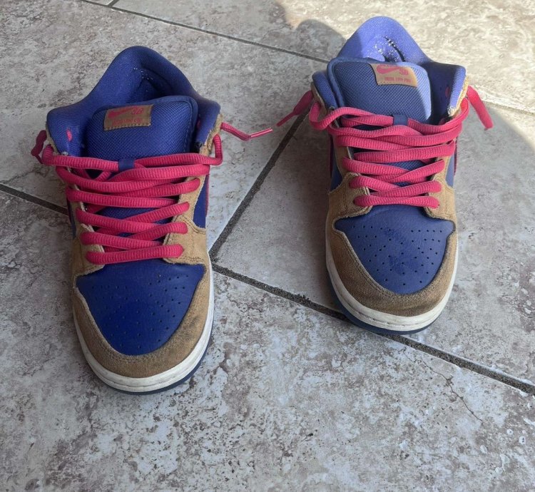 Nike Sb Dunk Low Reverse Papa Bear