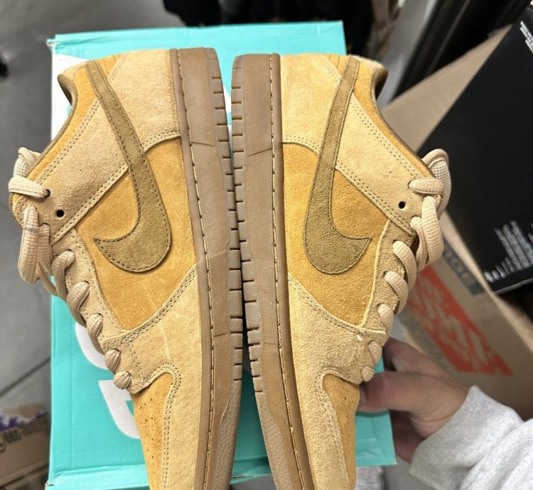 Nike Sb Dunk Low Reverse Reese Forbes