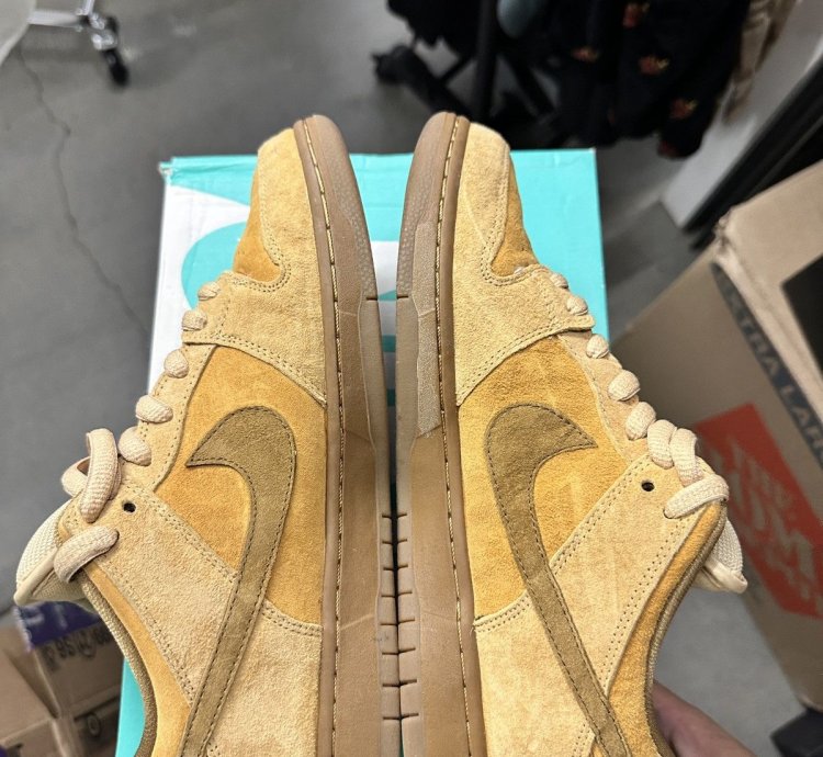 Nike Sb Dunk Low Reverse Reese Forbes