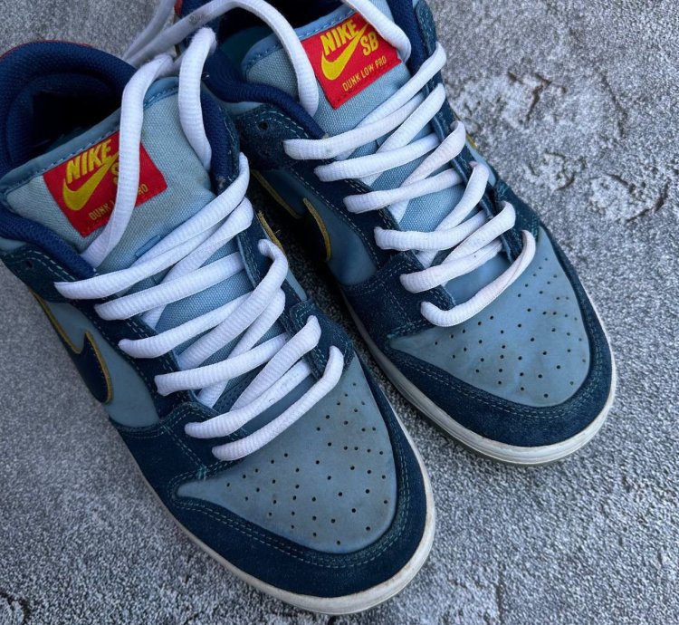 Nike Sb Dunk Low Sneakers