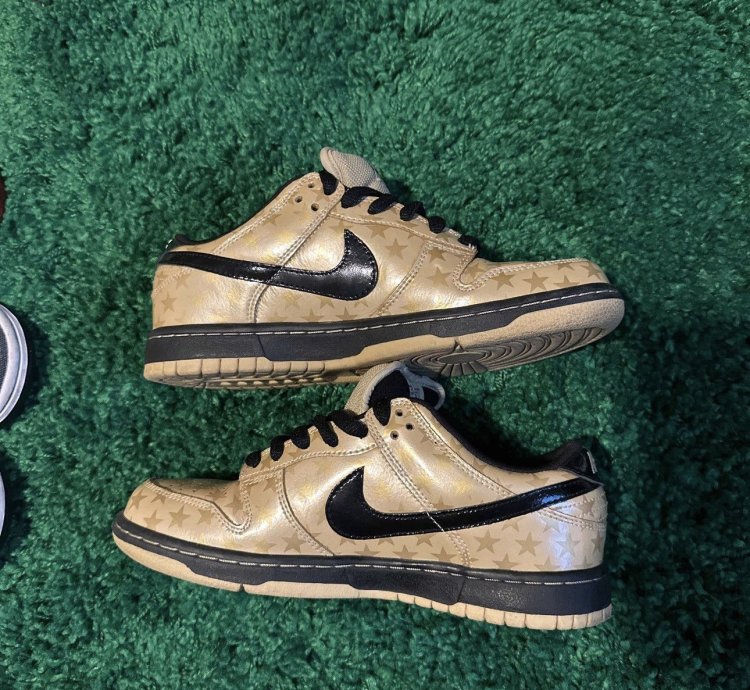 Nike Sb Dunk Low Trickstarr
