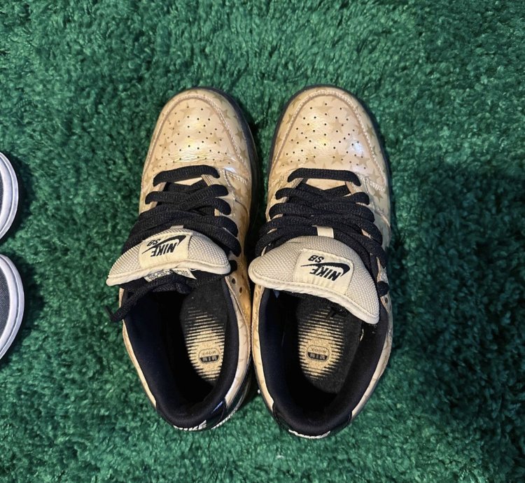 Nike Sb Dunk Low Trickstarr