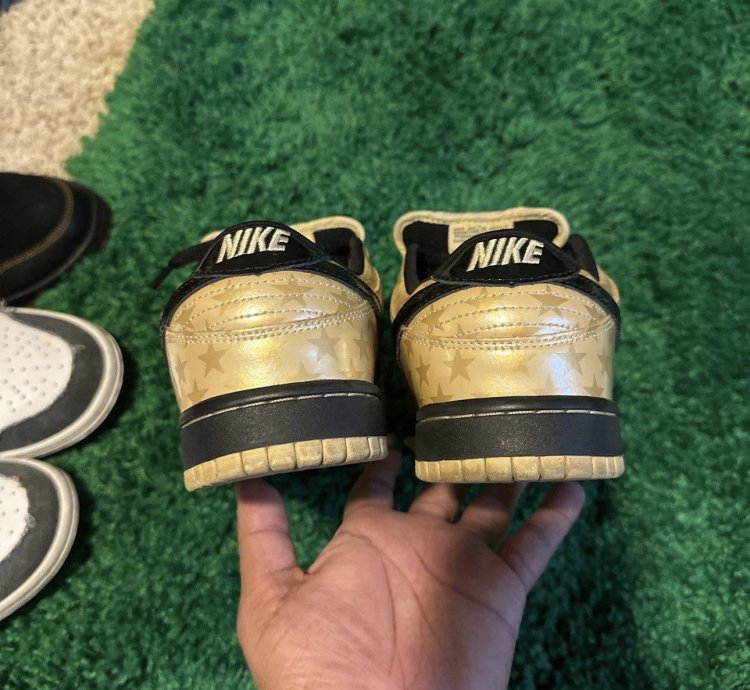 Nike Sb Dunk Low Trickstarr