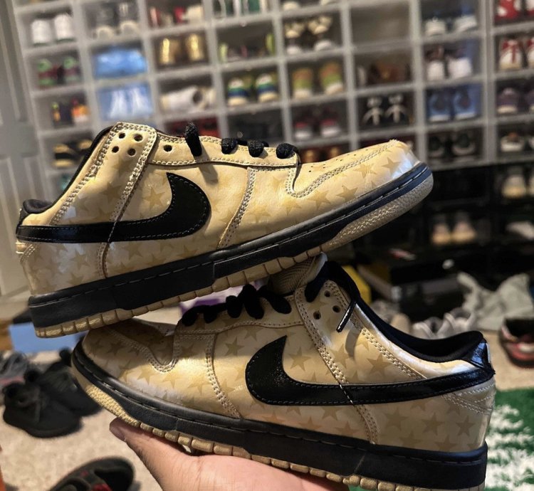 Nike Sb Dunk Low Trickstarr