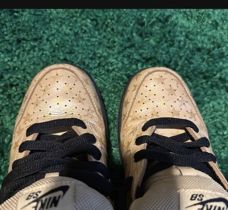 Nike Sb Dunk Low Trickstarr