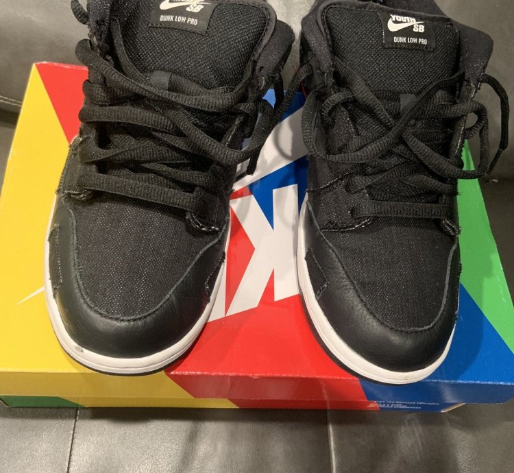 Nike Sb Dunk Low Wasted Youth