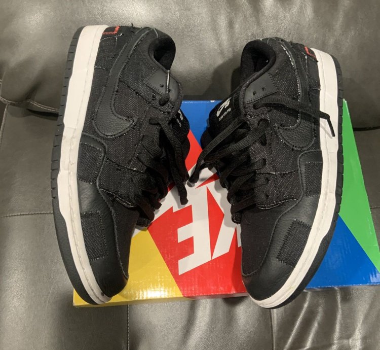 Nike Sb Dunk Low Wasted Youth