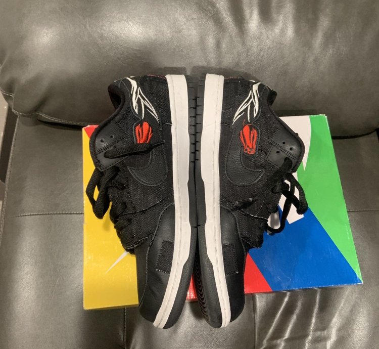 Nike Sb Dunk Low Wasted Youth