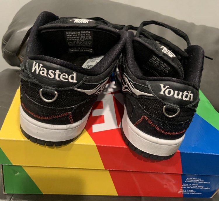 Nike Sb Dunk Low Wasted Youth
