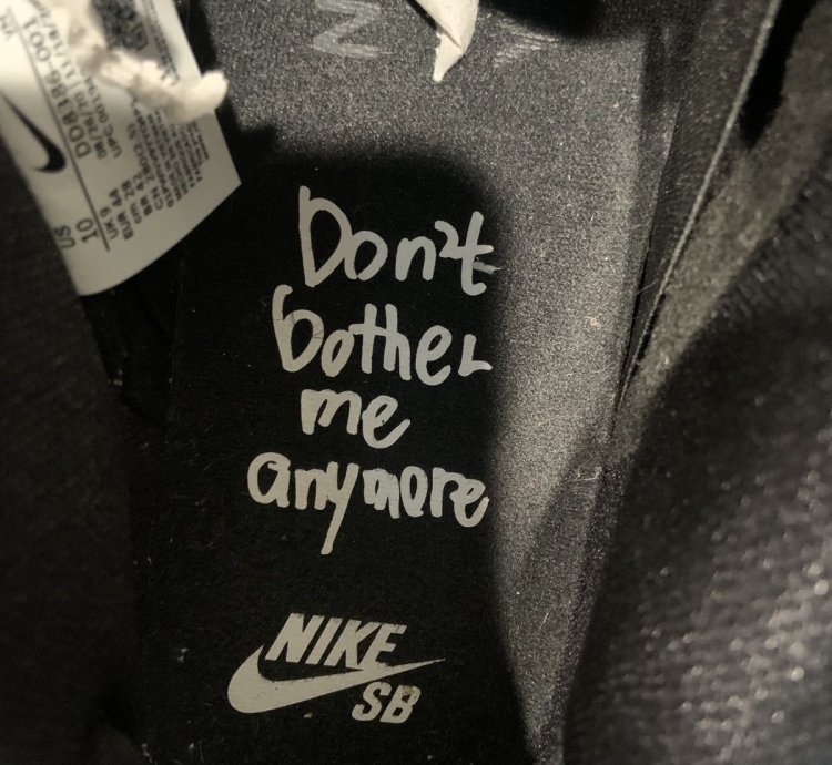 Nike Sb Dunk Low Wasted Youth