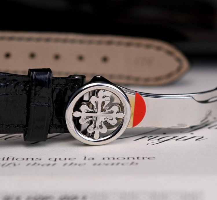 Patek Philippe World Time 5110p-001 Mit Box Papieren Aus Dem Jahr 2002