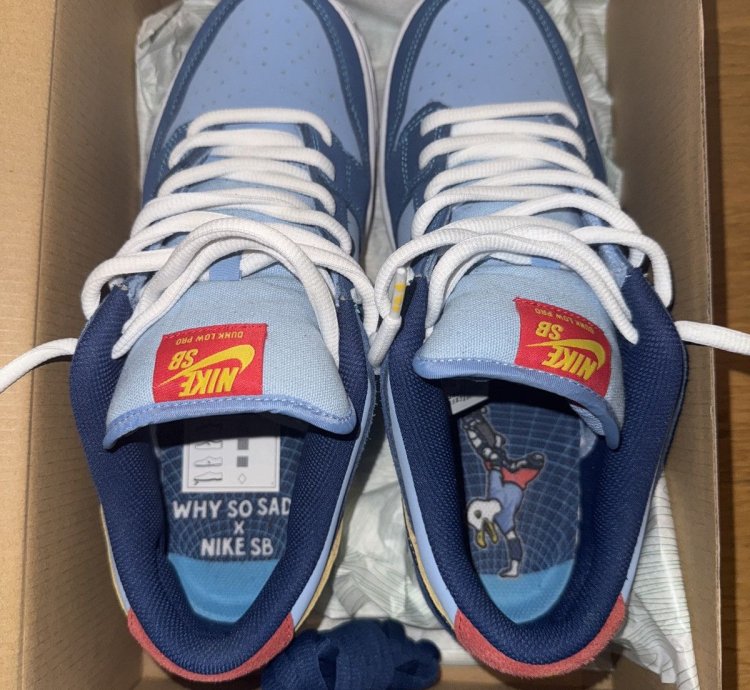 Nike Sb Dunk Low Whysosad