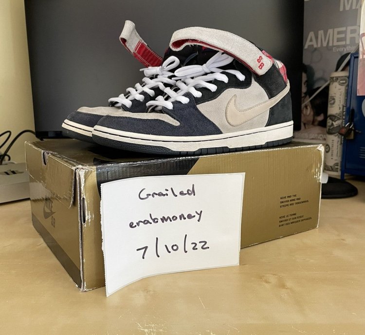 Nike Sb Dunk Mid Premium Goofy Boy Mens Size 9 Authentic