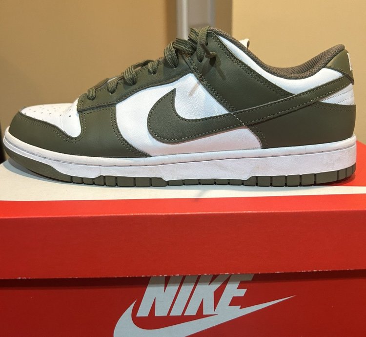 Nike Sb Dunk Olive Sz 10 Vnds