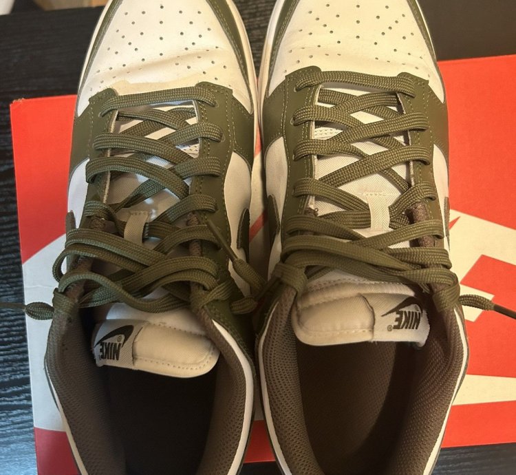 Nike Sb Dunk Olive Sz 10 Vnds