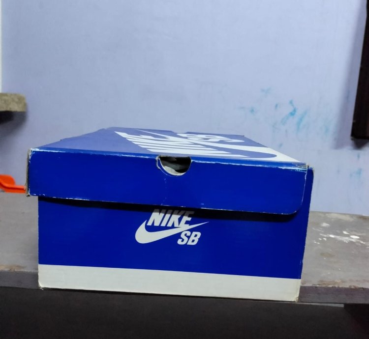Nike Sb Dunk Plum Dunk High