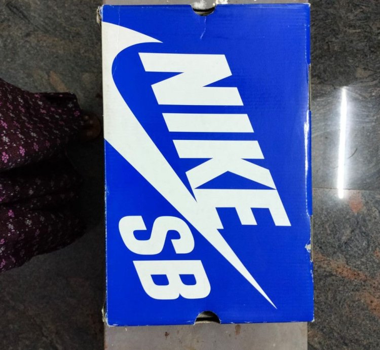 Nike Sb Dunk Plum Dunk High
