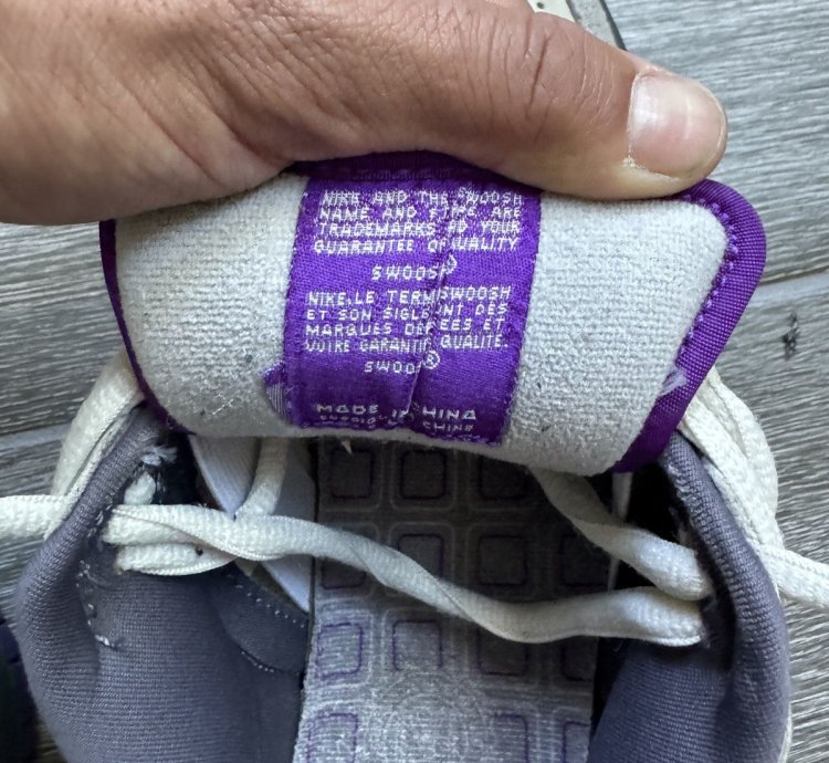 Nike Sb Dunk Purple Pigeon 2006