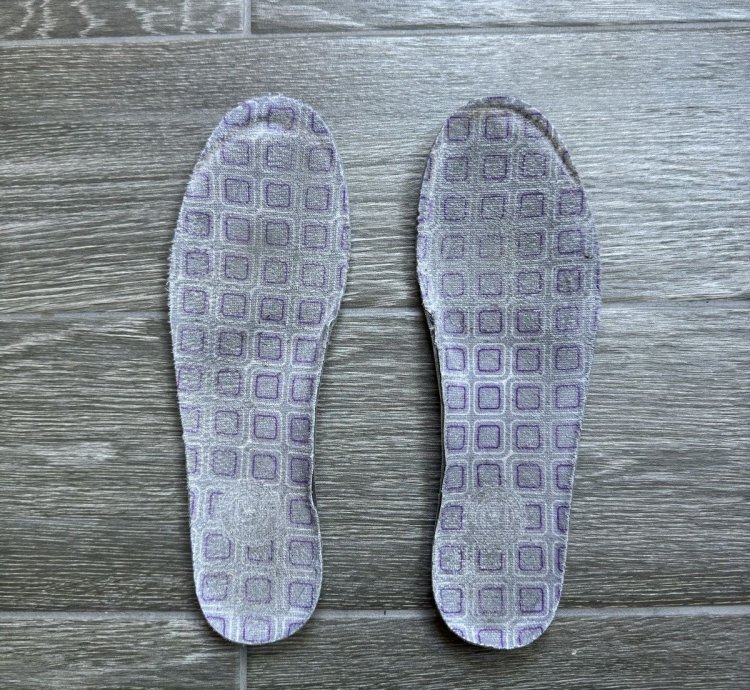 Nike Sb Dunk Purple Pigeon 2006