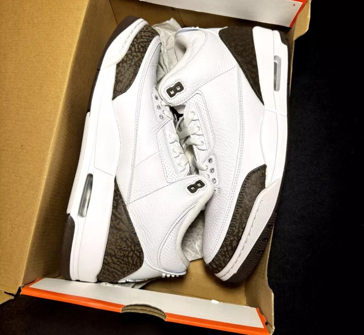 Nike Air Jordan 3 Retro Mocha 2018