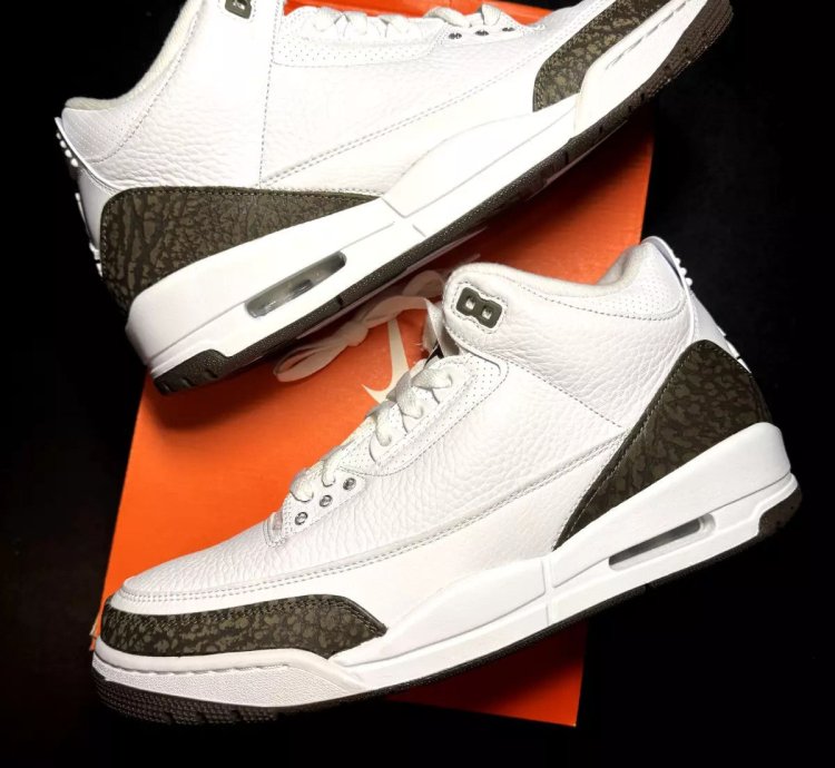 Nike Air Jordan 3 Retro Mocha 2018