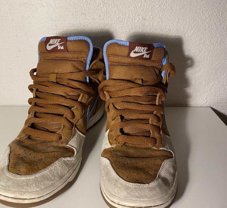 Nike Sb Dunk Skate Mental