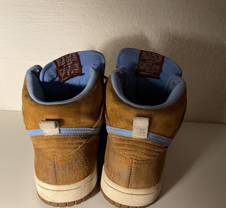 Nike Sb Dunk Skate Mental