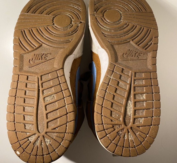 Nike Sb Dunk Skate Mental