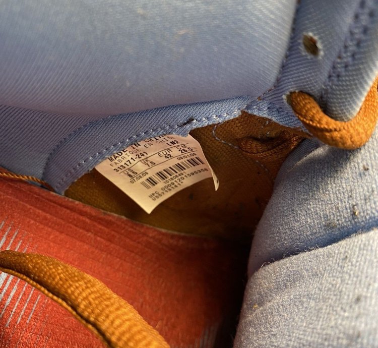Nike Sb Dunk Skate Mental
