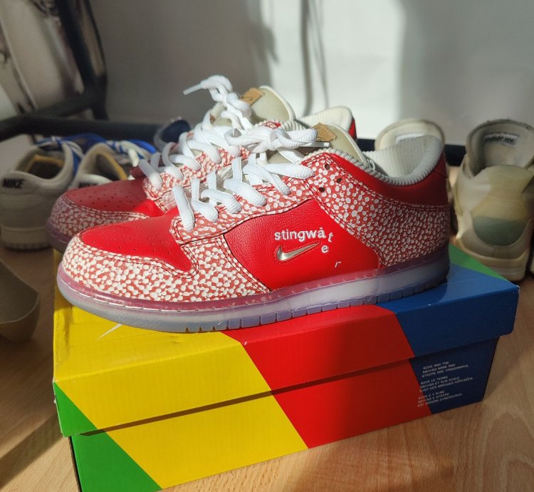 Nike Sb Dunk Stingwater Magic Mushroom